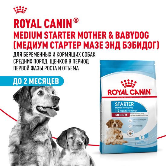 Royal Canin Medium Starter Mother & Babydog для щенков до 2-х месяцев, беременных и кормящих сук средних пород