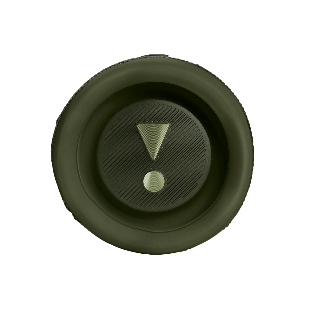 Портативная колонка JBL Flip 6, Green (Зеленый)