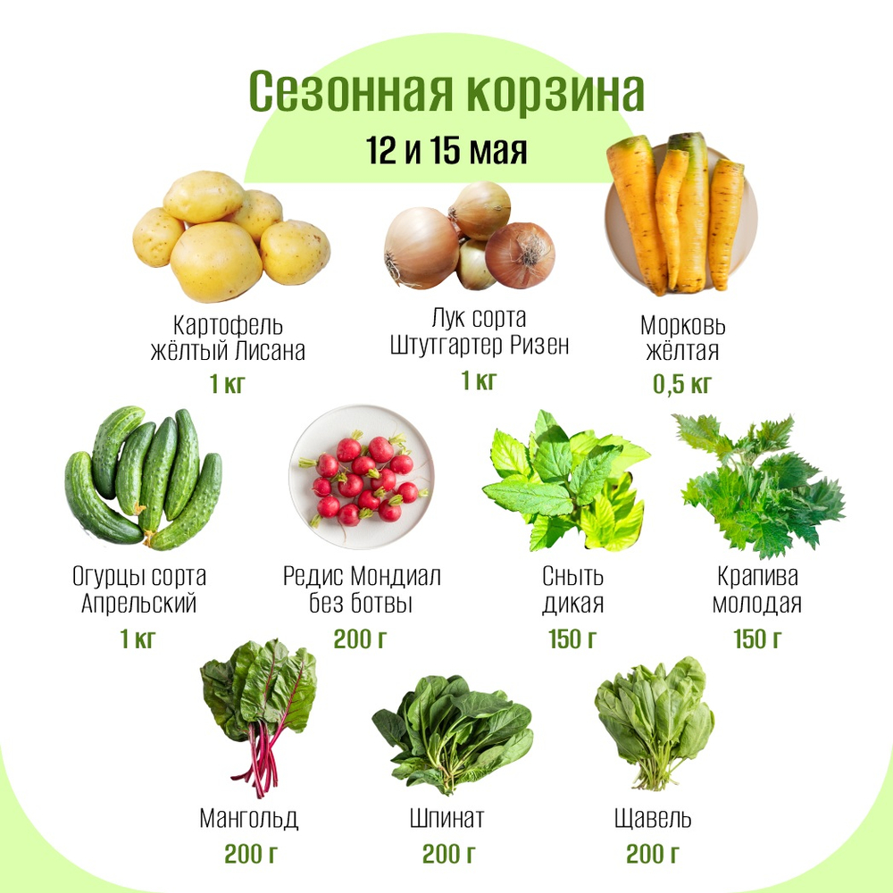 Сезонная корзина