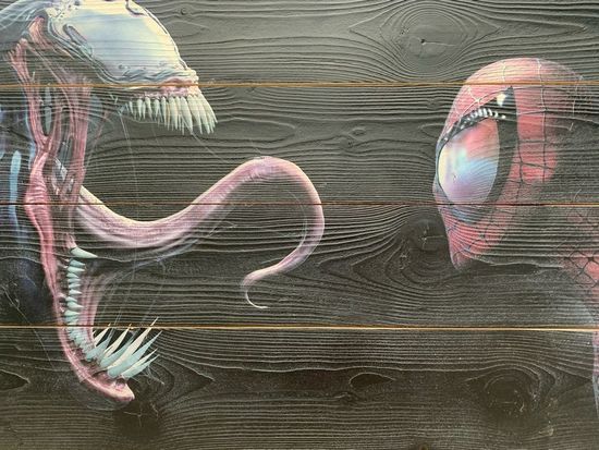 Картина Человек паук против Венома