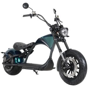 Mangosteen M1P 60V2000W30A