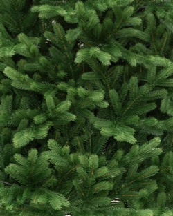 Искусственная елка Мисхор 210 см., 100% литая хвоя, ЕлкиТорг (136210)