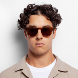 Очки солнцезащитные WHITELAB Icon Brown / Brown