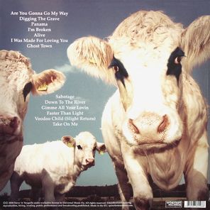 Steve 'n' Seagulls / Grainsville (LP)