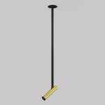 Подвесной светодиодный светильник Maytoni Focus T P141RS-L125-6W3K-BBS