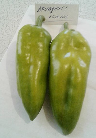 АРИАДНИ F1 семена перца сладкого Seminis отзывы
