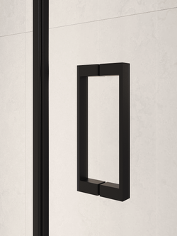 Душевая дверь RGW PA-104B (800)