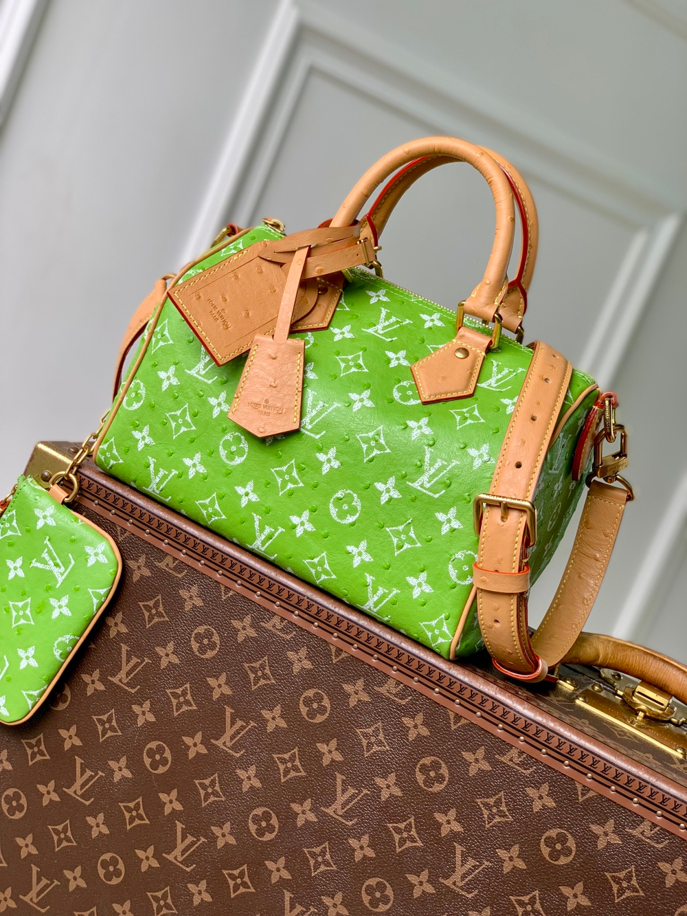 Louis Vuitton Speedy P9 Bandouliere 25