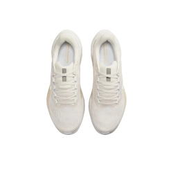 Мужские кроссовки Nike Air Zoom Pegasus 41 'Light Orewood Brown' FD2722-106