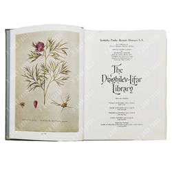 The Diaghilev-Lifar Library / Библиотека Дягилева-Лифаря. 1975.