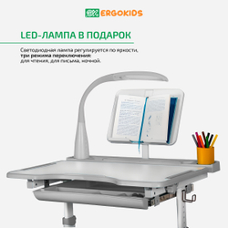 Детский стол и стул Ergokids Foxy BD-20