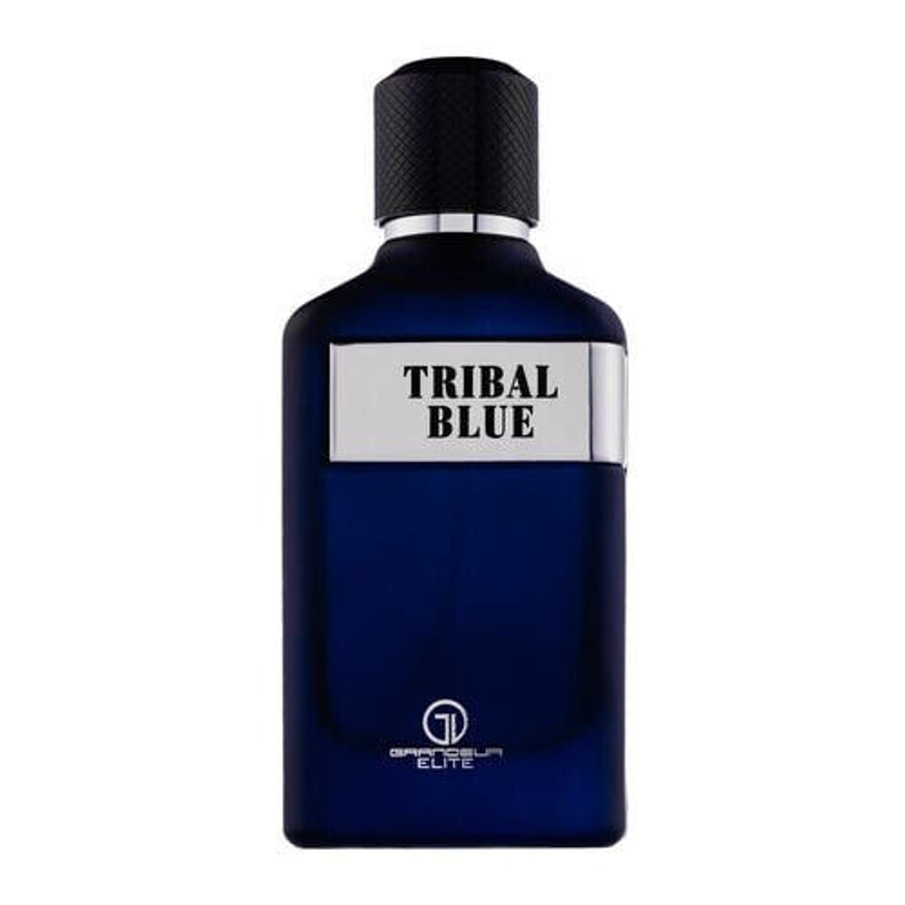 Grandeur Elite Tribal Blue Мужская парфюмерия Eau de Parfum Зима