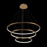 Подвесная люстра Loft It RING 10015/3