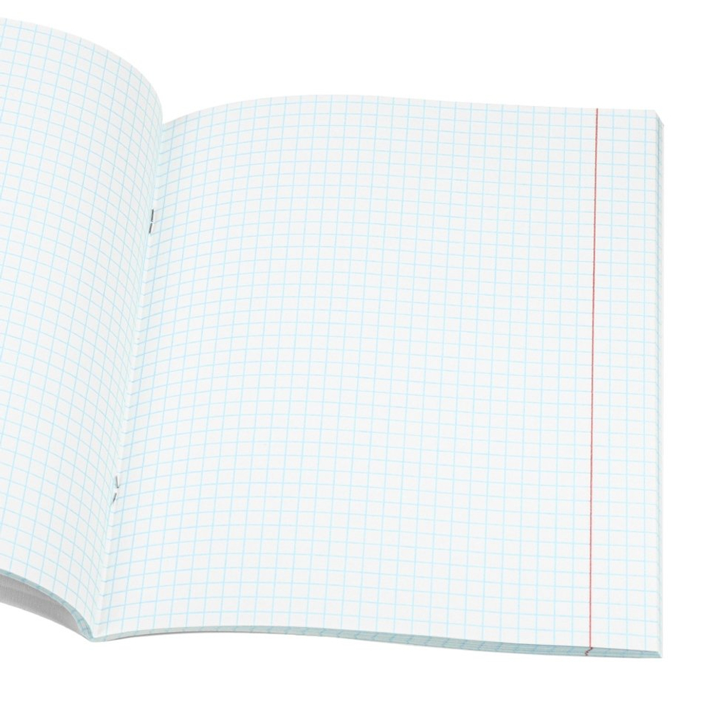 Тетрадь предметная 48л., А5, клетка, Проф-Пресс,"Капибара. Немецкий язык" скрепка, обложка мелованный картон, тиснение лён, со справ. материалом