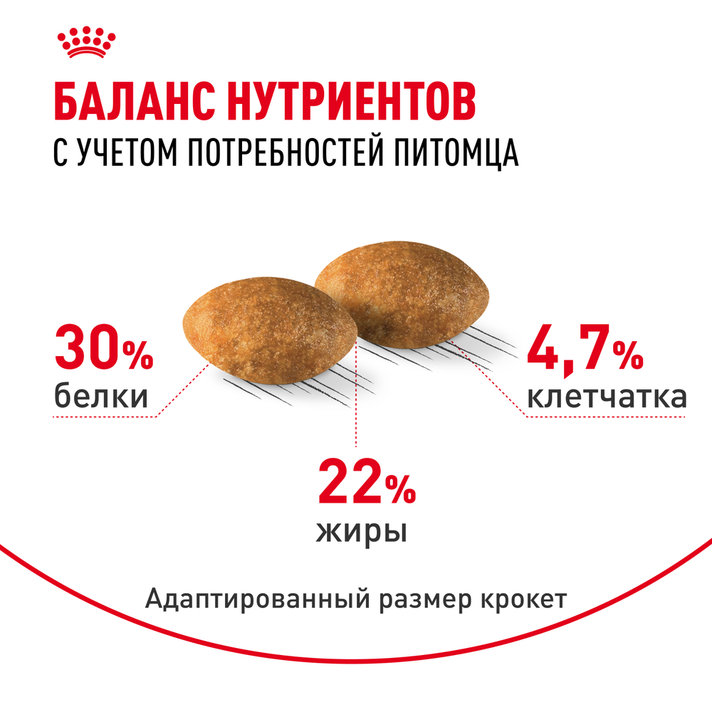 Сухой корм Royal Canin Persian Adult для взрослых персидских кошек от 12 месяцев 10кг