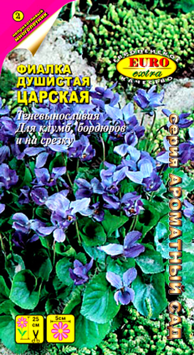 Фиалка душистая Царская