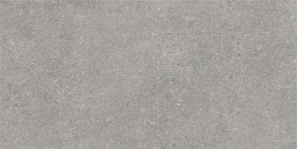 60x120 Newcon Серебристо-серый Матовый R10A