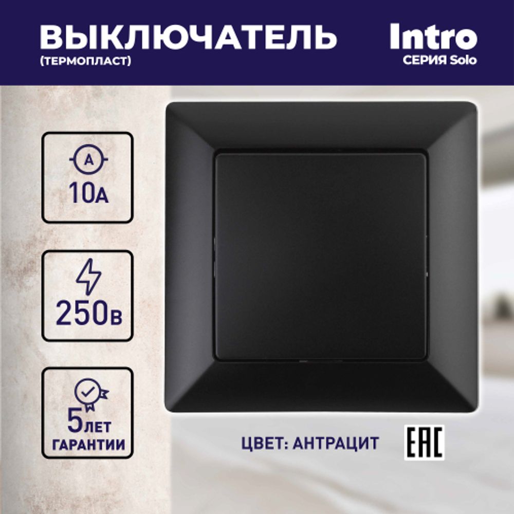 Выключатель Intro Solo 4-101-05 одноклавишный 10А-250В, IP20, СУ, антрацит