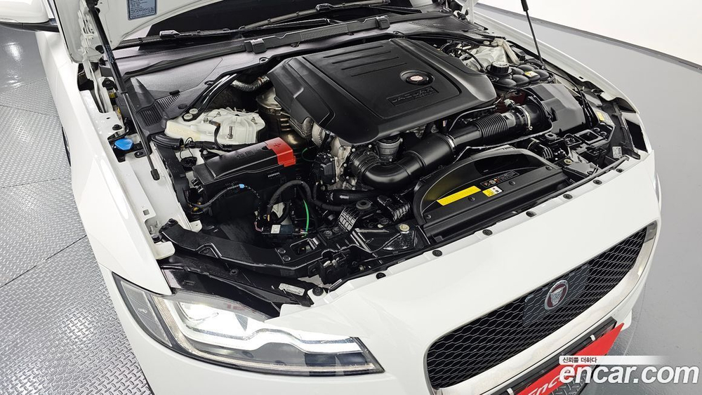 Jaguar XF (X260) 20d Portfolio (11.2020)