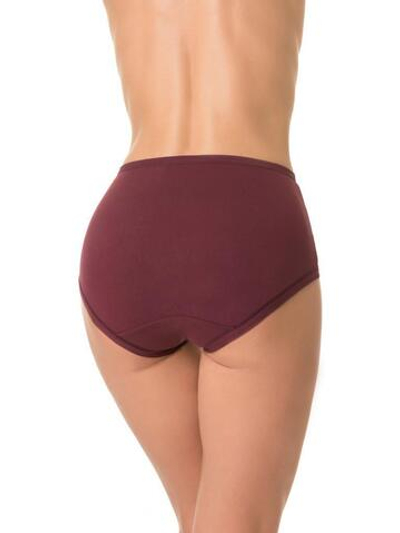Трусы с высокой линией талии из бамбукового полотна (Размер: XXXL) (Цвет: бордовый)