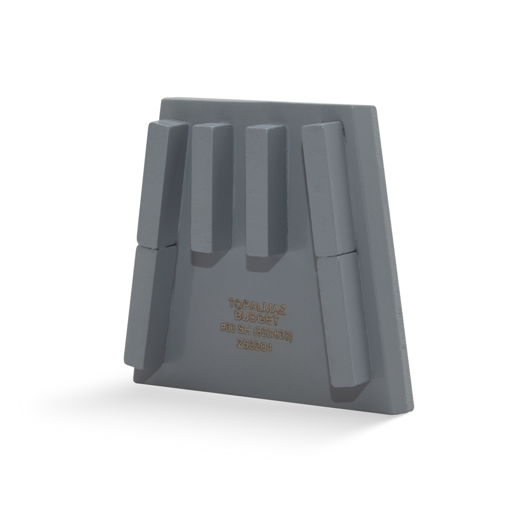 MEDIUM Франкфурт алмазный шлифовальный BUDGET для бетона #10 грит. 3, 6 сегментов