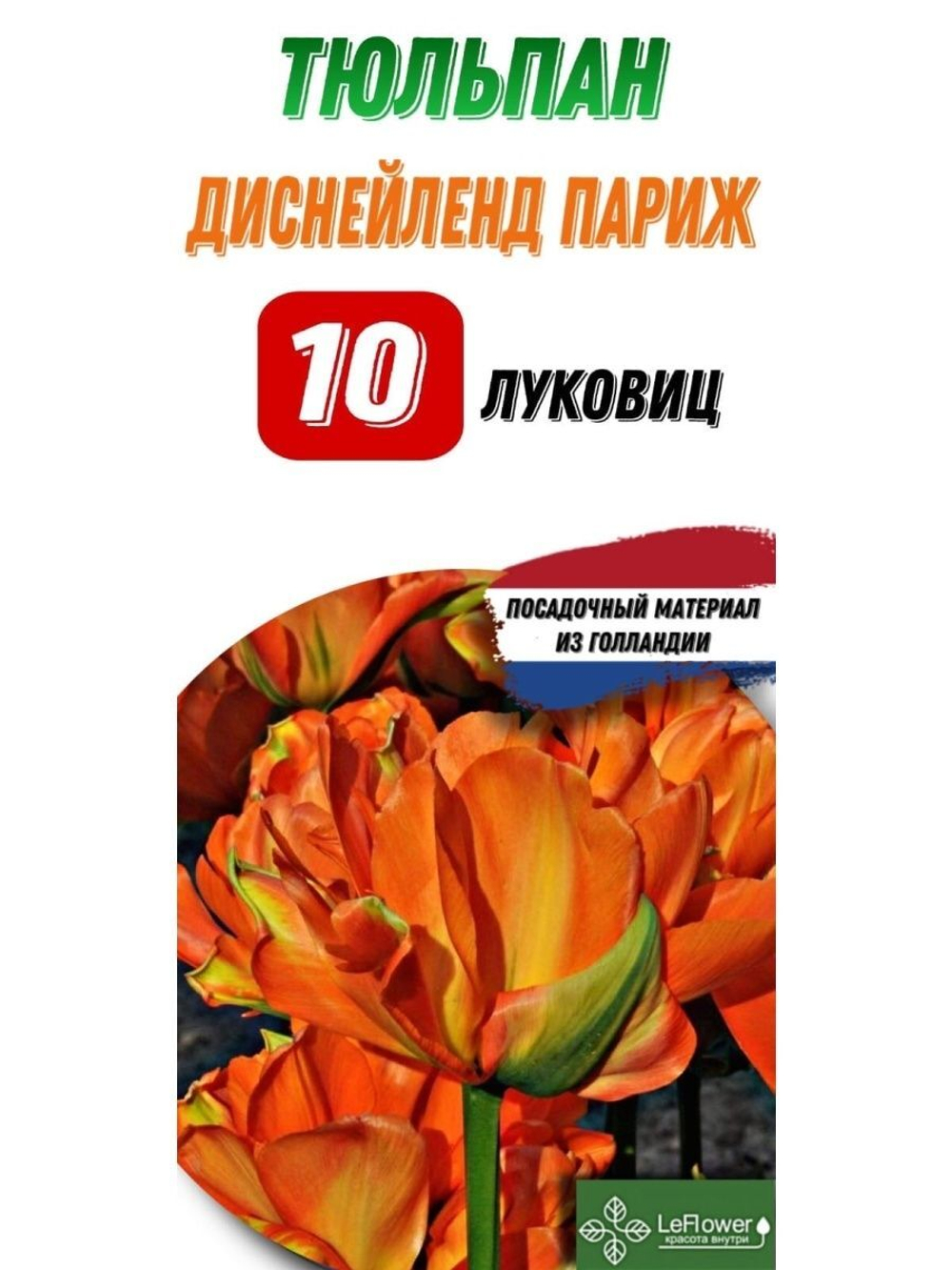 Тюльпан Луковица, Диснейлэнд Париж, 10шт