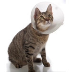 Защитный воротник для собак и кошек Trixie Protective Collar XS, размер 22х25х10см.
