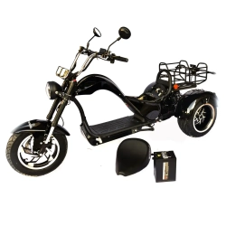 Электроскутер Skyboard CITYCOCO Dnepr Chopper 4000w