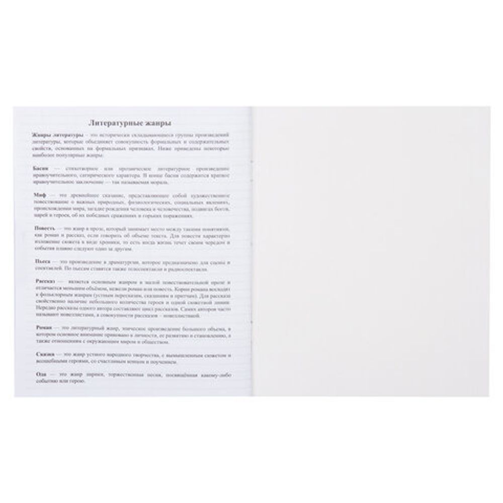 Дневник читательский А5, 40 л., скоба, обложка картон, ПИФАГОР, "Кот учёный", 113447