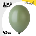 Шар латексный Экстра Пастель 43 см (Зеленый)