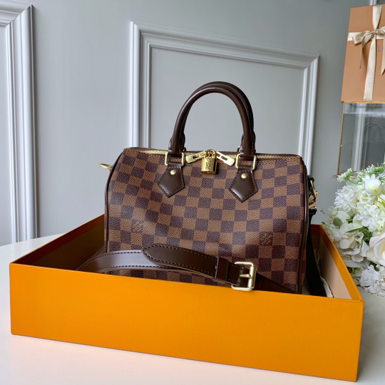 Louis Vuitton Speedy  25