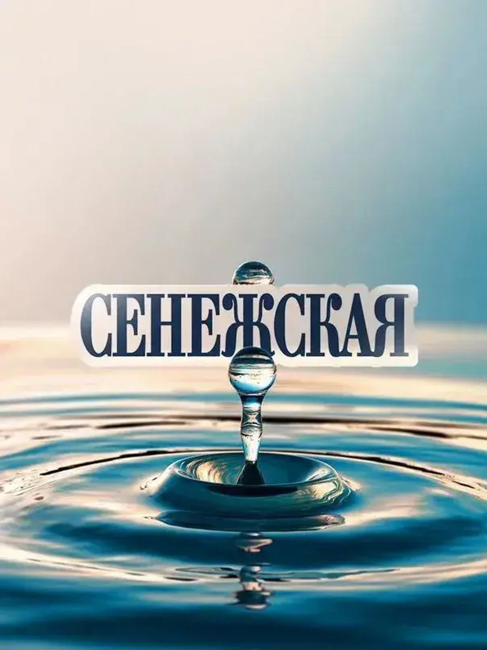 Вода негазированная Сенежская природная, 5 л