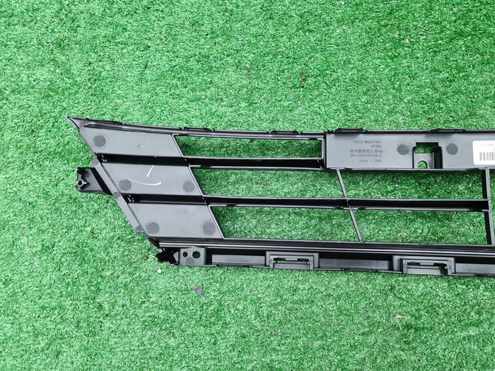 Решетка переднего бампера GAC GN8 (2019-2023)