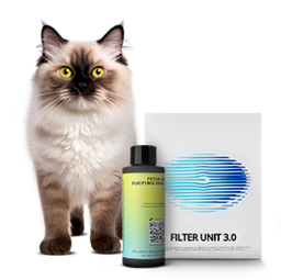 Аксессуары