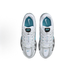 Nike P-6000 Dusty Cactus