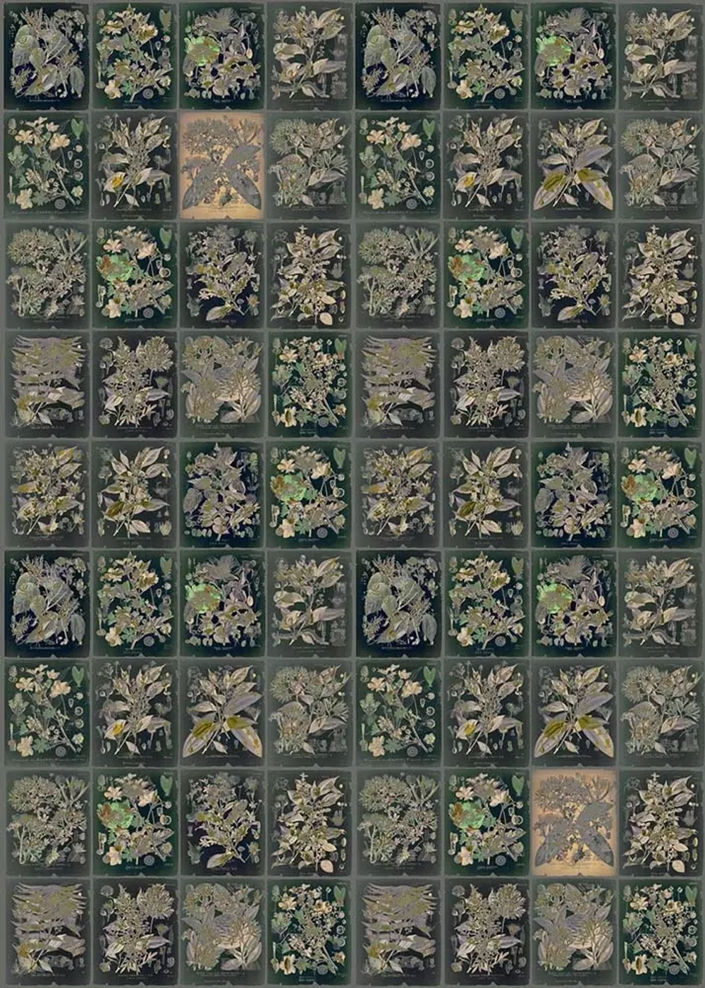 Цифровое панно ID Wall MAGICAL HERBS