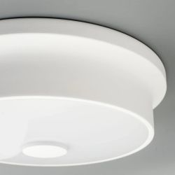 Citilux Фостер-2 CL706210 LED Светильник с диммером Белый