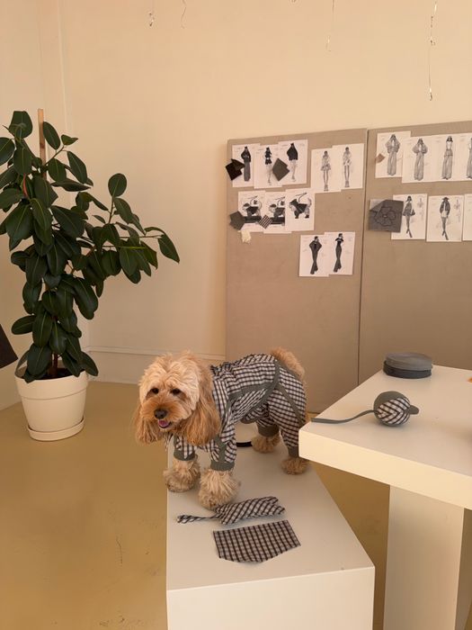 БРЮКИ САВЬЕ ДЛЯ СОБАК ХАКИ