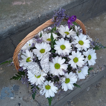 Корзина с хризантемой Баккарди