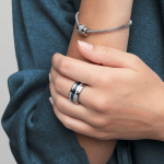 Шарм Bering Arctic Symphony MyStar-1 серебро