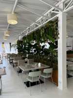 Озеленение искусственными растениями отеля « Бридж Резорт» г.Сочи