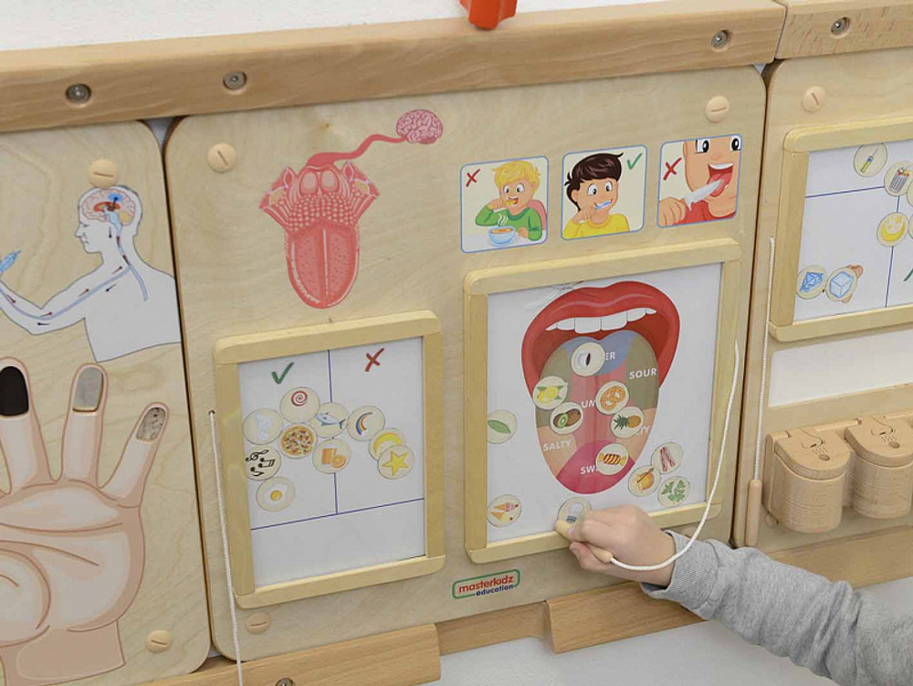 Панель магнитная Вкус