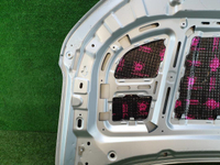 Капот Geely Coolray (2019-2023)