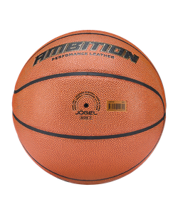 Мяч баскетбольный Ambition №7