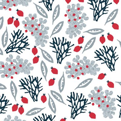 ягель, северный мох и клюква