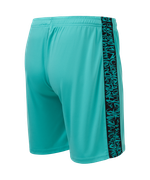 Шорты игровые JOGEL AMKAL PerFormDRY Shorts, бирюзовый/черный