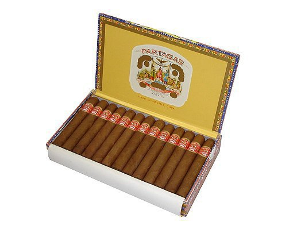 Partagas Shorts