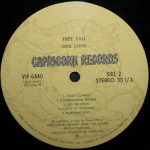 Dixie Dregs / Free Fall (LP)