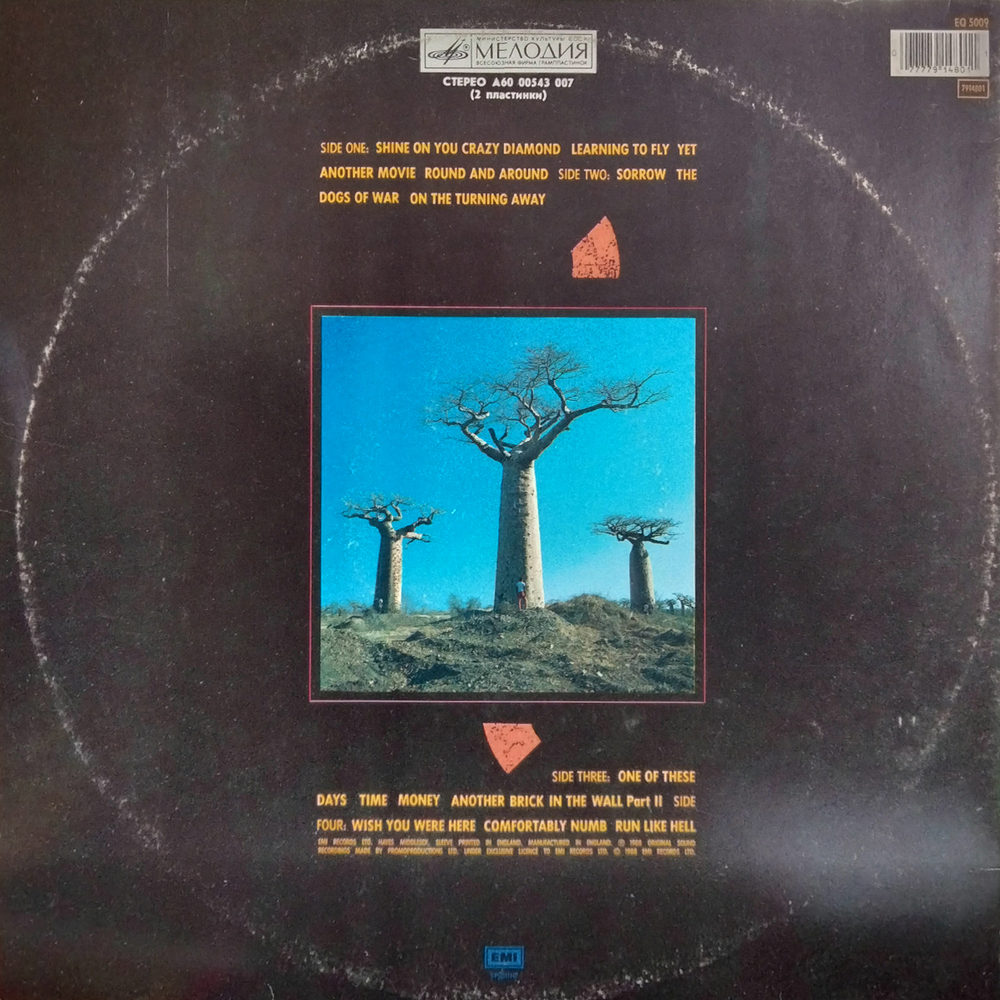 Pink Floyd / Delicate Sound Of Thunder (2LP)