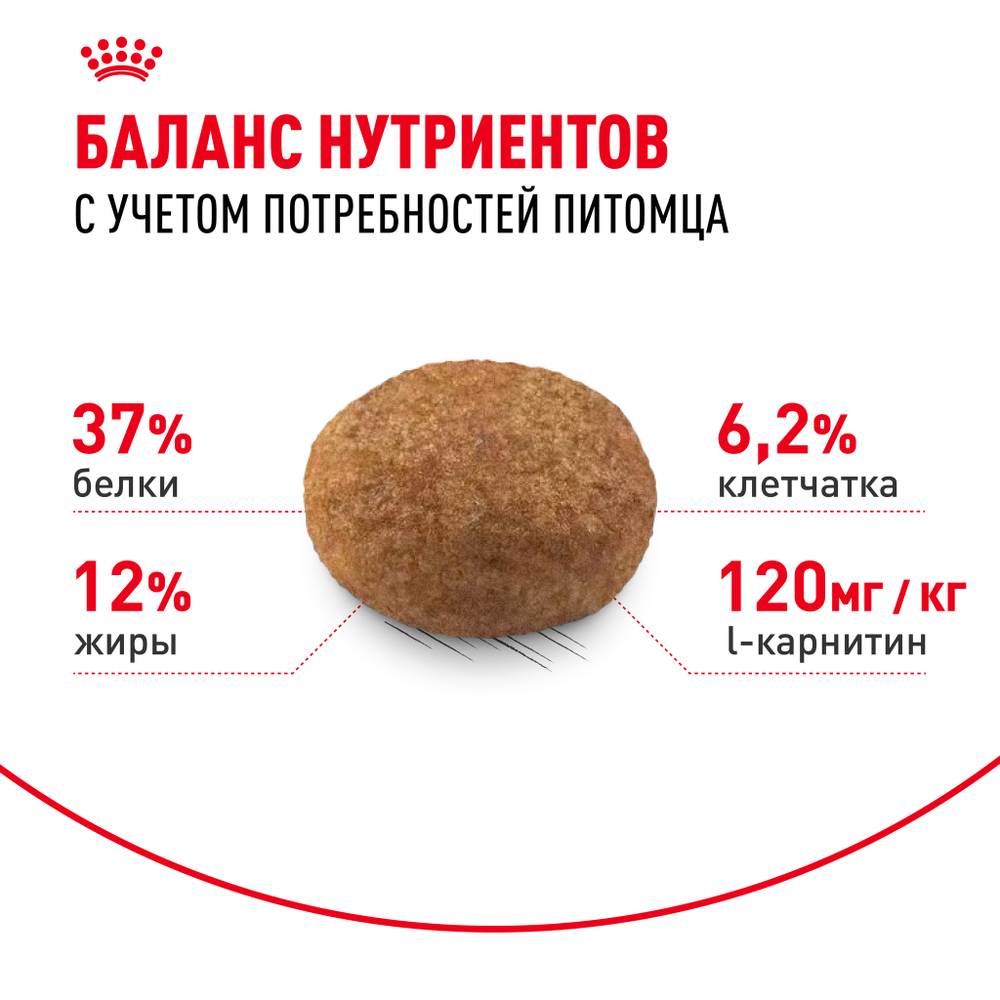 Royal Canin Sterilised 37 Корм сухой сбалансированный для взрослых стерилизованных кошек - 1,2 кг